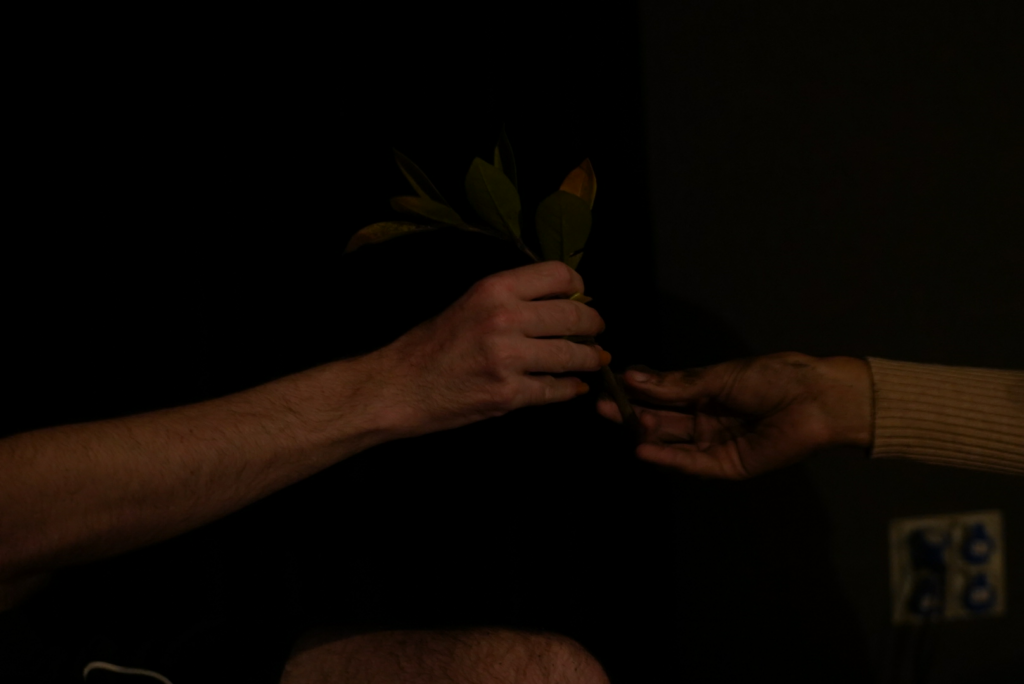 Imagem colorida em que se vê uma mão entregando uma flor para outra mão.