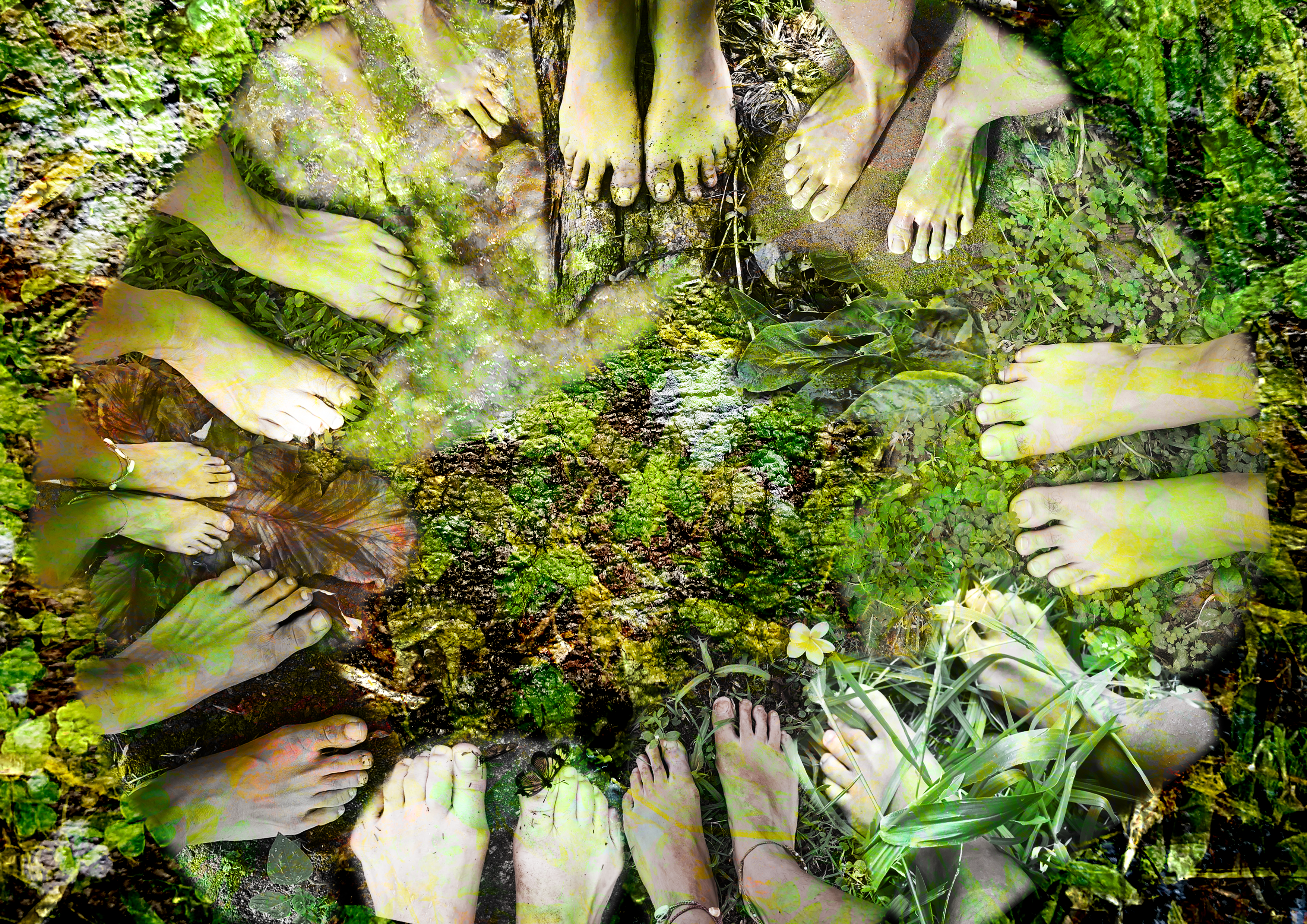 Imagem colorida com sobreposição de duas imagens: a primeira, um círculo formado por pares de pés humanos; a segunda, musgos e folhas diversas